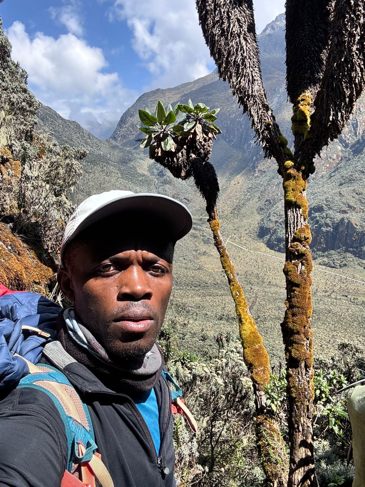 12 Monkeys Tours & Safaris in Uganda — gorilla trekking, Rwenzori treks and safaris, photo 10