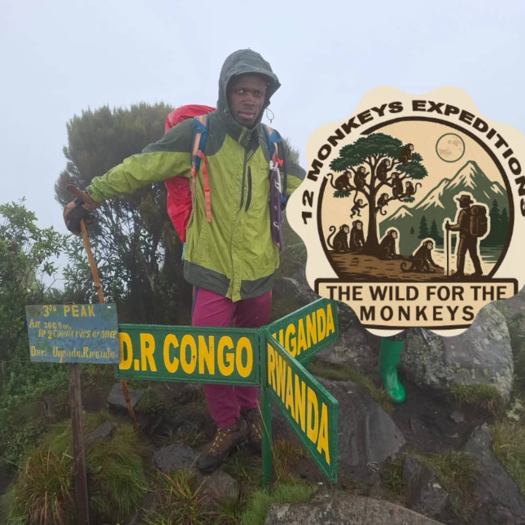 12 Monkeys Tours & Safaris in Uganda — gorilla trekking, Rwenzori treks and safaris, photo 3