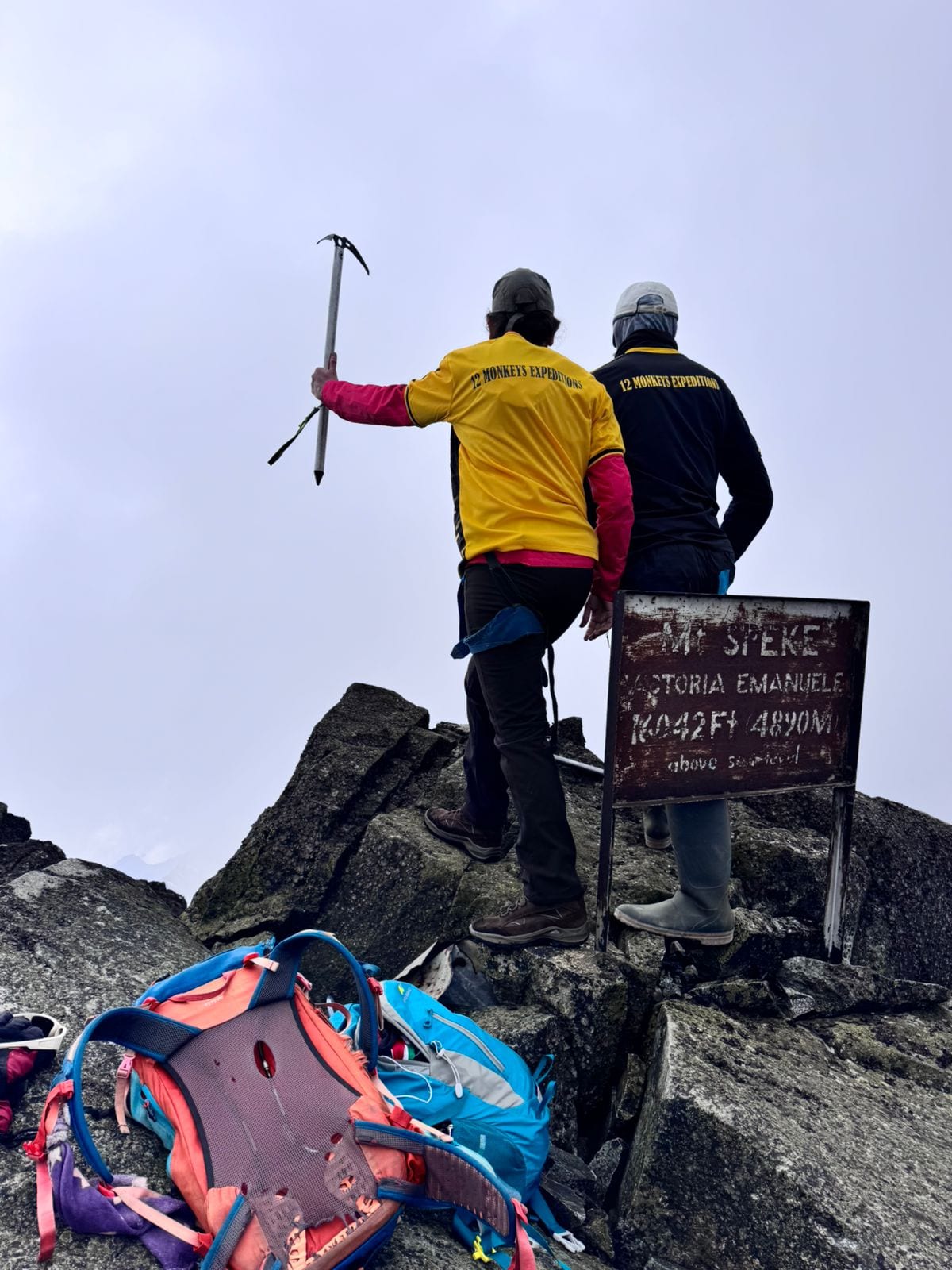 12 Monkeys Tours & Safaris in Uganda — gorilla trekking, Rwenzori treks and safaris, photo 8