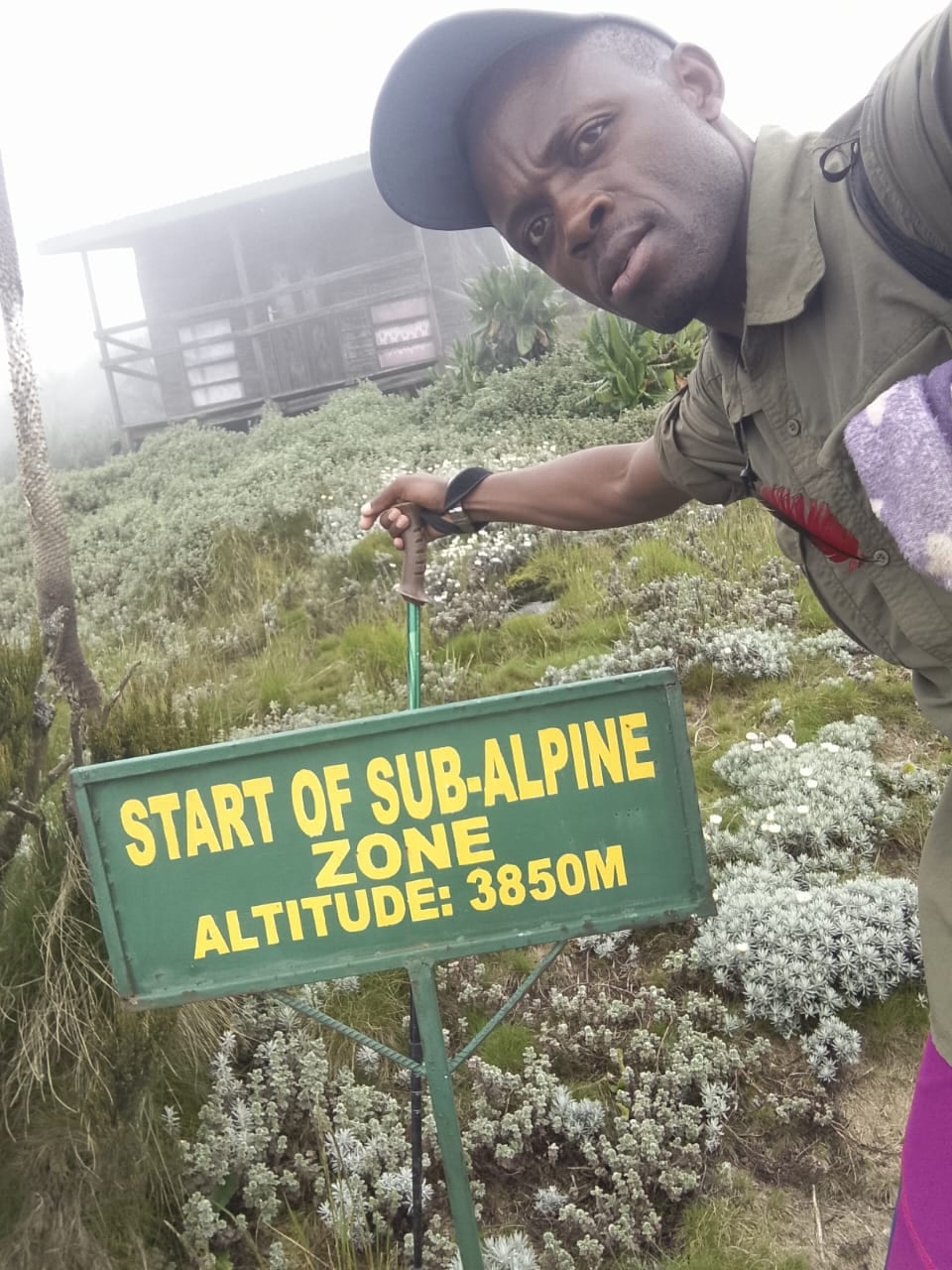 12 Monkeys Tours & Safaris in Uganda — gorilla trekking, Rwenzori treks and safaris, photo 13