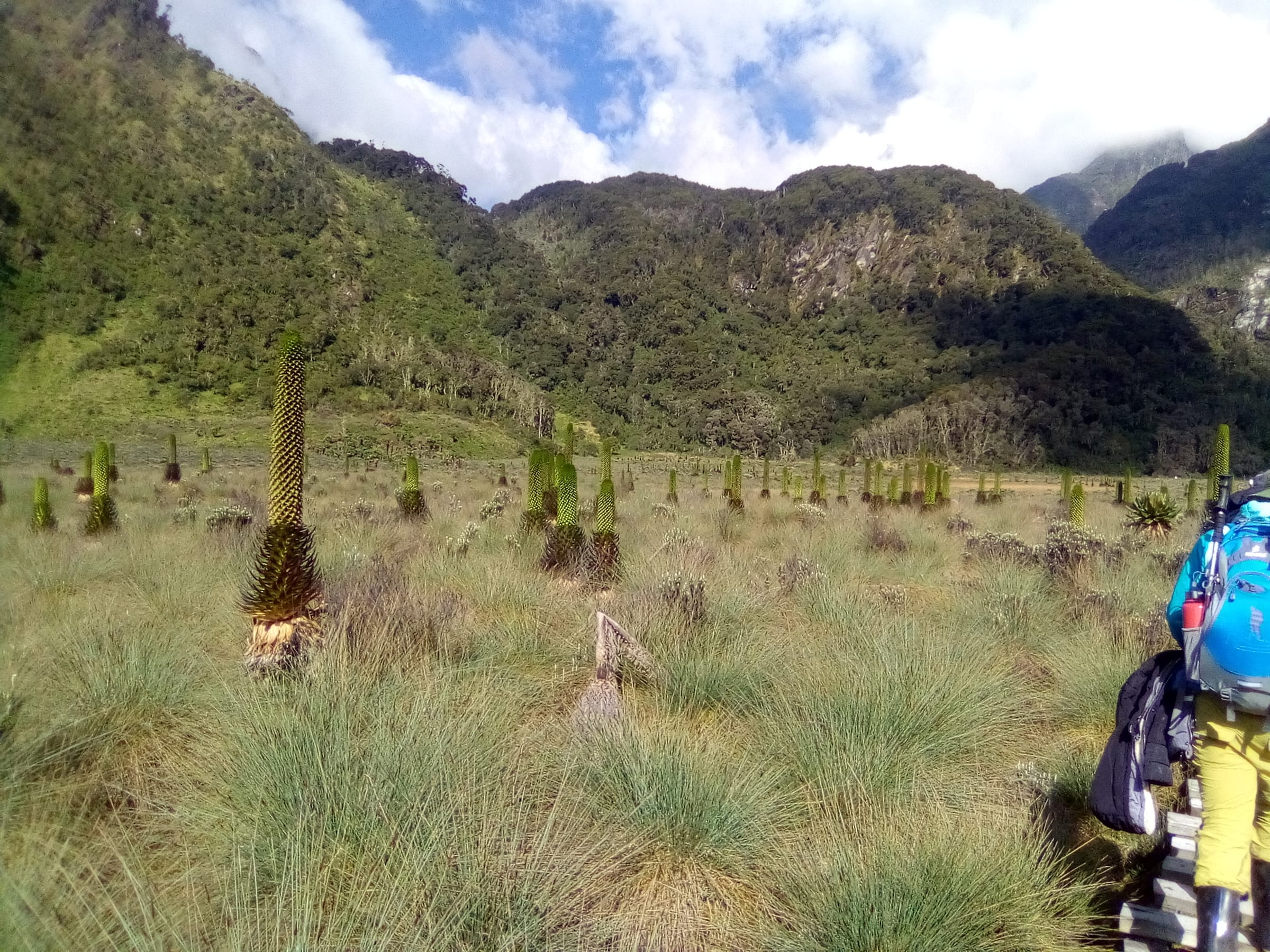 6 Days Bwindi & Queen Elizabeth — Uganda moderate tour with 12 Monkeys